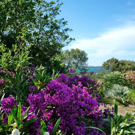 Amoreddu San Teodoro (Sardinia)