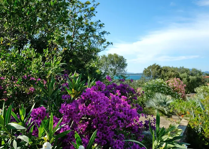 Amoreddu San Teodoro